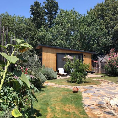 Villa Tiny House Kayakoey Nar à Fethiye Extérieur photo